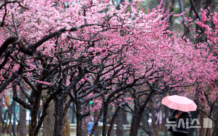 울산, 아침까지 5㎜ 안팎 비…최고기온 15도