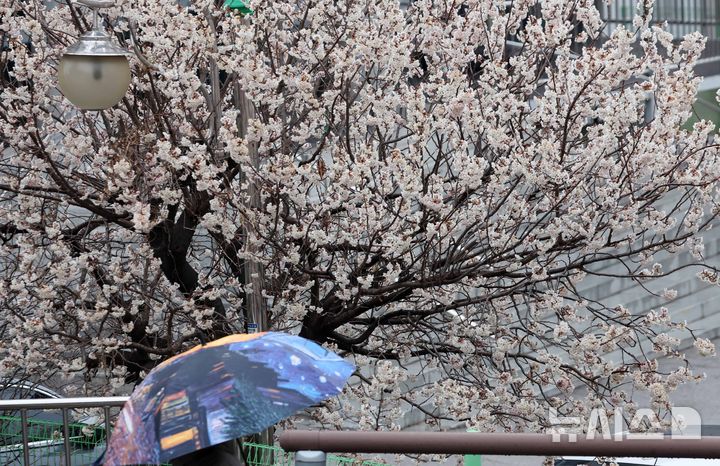 울산, 밤부터 봄비…낮 최고기온 20도