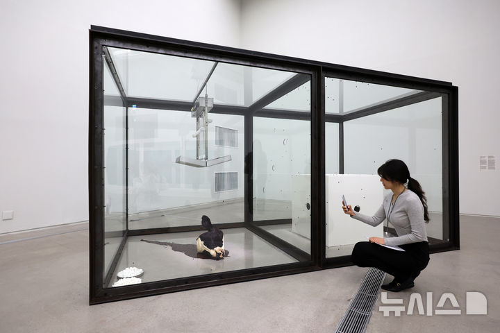 [서울=뉴시스] 박진희 기자 = 영국 시각미술가 데이미언 허스트(Damien Hirst)가 18일 서울 종로구 국립현대미술관에서 아시아 최초 대규모 개인전 ‘진실은 없어 그러나 모든 것은 가능하지’ 기자간담회 깆고 작품 '천 년'을 선보이고 있다. 2026.03.18. pak7130@newsis.com
