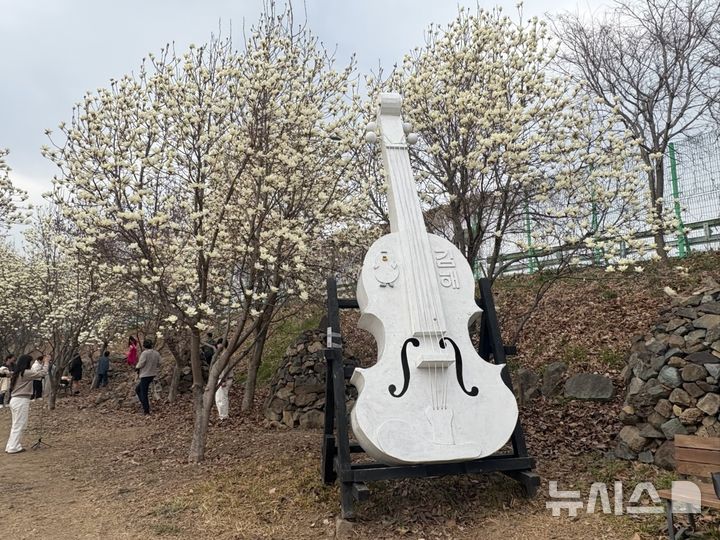 [김해=뉴시스]김해 시민의 숲 목련. (사진=김해시 제공). 2026.03.19. photo@newsis.com