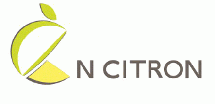 엔시트론 "中대형 거래처 선발주 증가…실적 성장 기대"