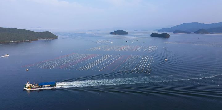 경남 남해안 굴양식장 .(사진=경남도 제공) 2026.03.19. *재판매 및 DB 금지
