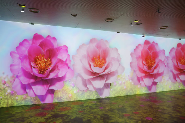 [서울=뉴시스] 전시 '작가의 노트'에서 선보이는 김영랑의 '모란이 피기까지는' (사진=국립중앙도서관 제공) 2026.03.19. photo@newsis.com *재판매 및 DB 금지