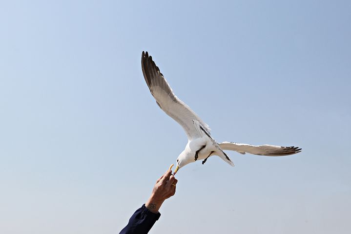 [서울=뉴시스]기사 이해를 돕기 위한 이미지.(사진출처: 유토이미지) 