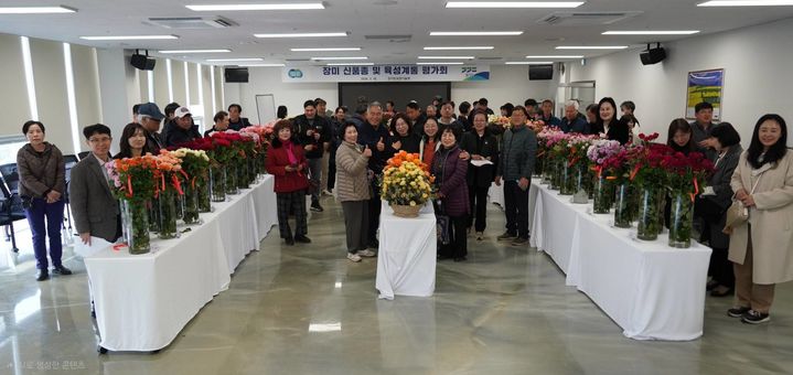 장미 신품종·육성계통 평가회 개최(사진=경기도 제공) *재판매 및 DB 금지