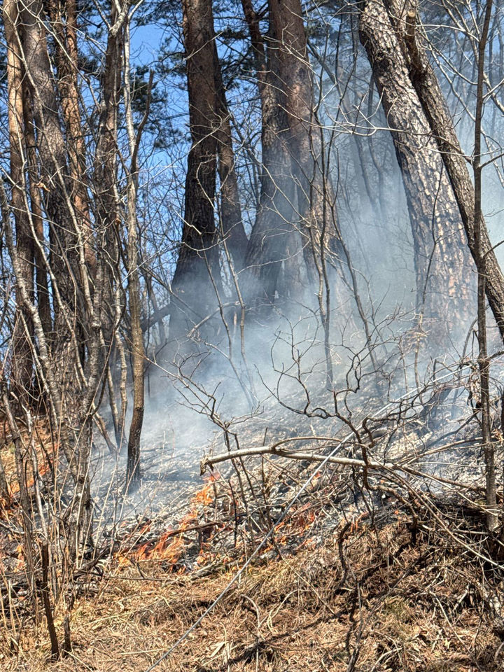 19일 오전 11시 54분께 태백시 창죽동의 한 임야에서 산불이 발생하고 있다.(사진=강원산불방지대책본부 제공) *재판매 및 DB 금지