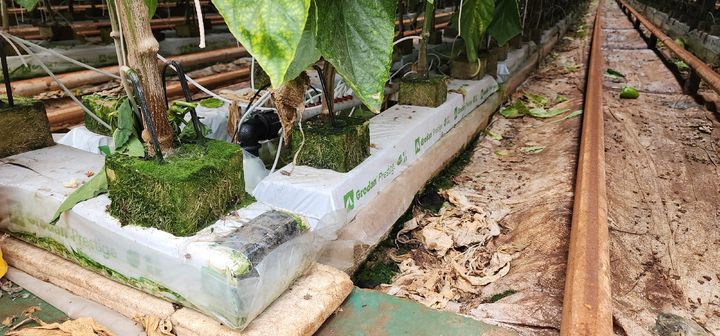 [세종=뉴시스] 농업용 암면 사진. (사진=국립환경과학원 제공) 2026.03.20. photo@newsis.com *재판매 및 DB 금지