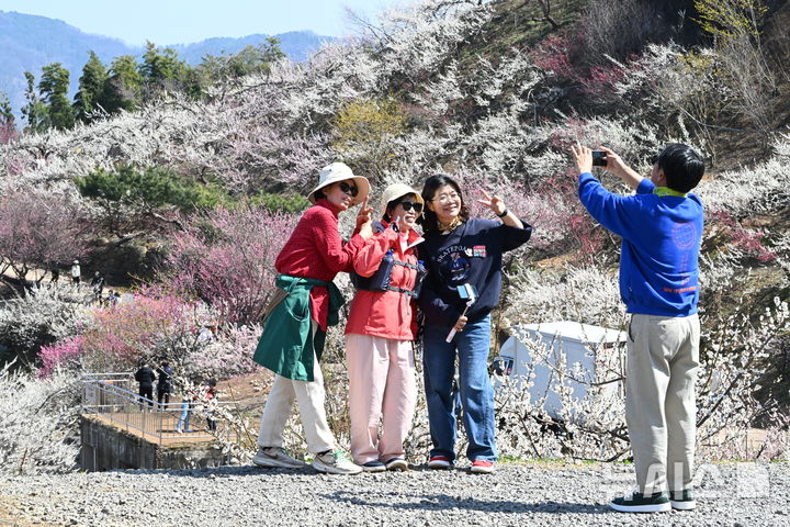 [광양=뉴시스] 이현행 기자 = 봄의 시작을 알리는 절기상 춘분(春分)을 하루 앞둔 19일 전남 광양시 다압면 매화마을에서 상춘객들이 매화를 배경으로 사진을 찍고 있다. 2026.03.19. lhh@newsis.com