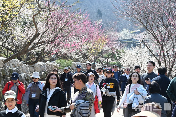 [광양=뉴시스] 이현행 기자 = 봄의 시작을 알리는 절기상 '춘분(春分)'을 하루 앞둔 19일 전남 광양시 다압면 매화마을이 상춘객들로 북적이고 있다. 2026.03.19. lhh@newsis.com