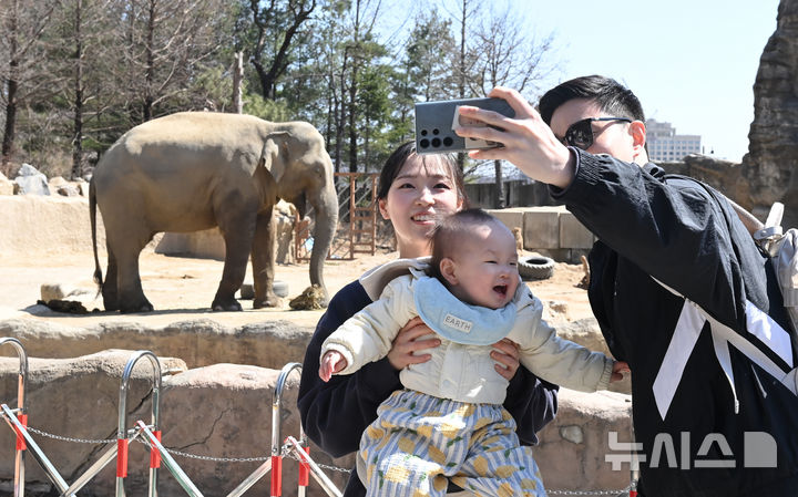 [용인=뉴시스] 김종택 기자 = 절기상 춘분을 하루 앞둔 19일 경기 용인시 에버랜드에서 시민들이 자유롭게 걸어 다니며 기린, 코뿔소, 코끼리 등 동물들이 생활하는 '로스트밸리 워킹 사파리'를 관람하고 있다. 생태형 사파리 '로스트밸리 워킹 사파리는 3월31일까지 운영된다. 2026.03.19. jtk@newsis.com