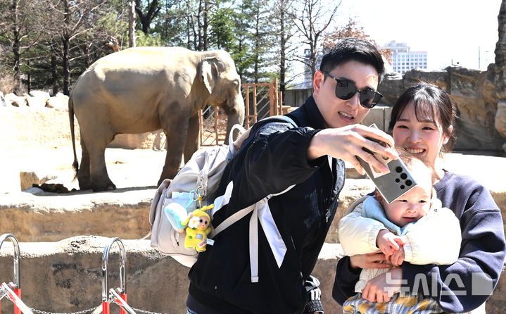 [용인=뉴시스] 김종택 기자 = 절기상 춘분을 하루 앞둔 19일 경기 용인시 에버랜드에서 시민들이 자유롭게 걸어 다니며 기린, 코뿔소, 코끼리 등 동물들이 생활하는 '로스트밸리 워킹 사파리'를 관람하고 있다. 생태형 사파리 '로스트밸리 워킹 사파리는 3월31일까지 운영된다. 2026.03.19. jtk@newsis.com