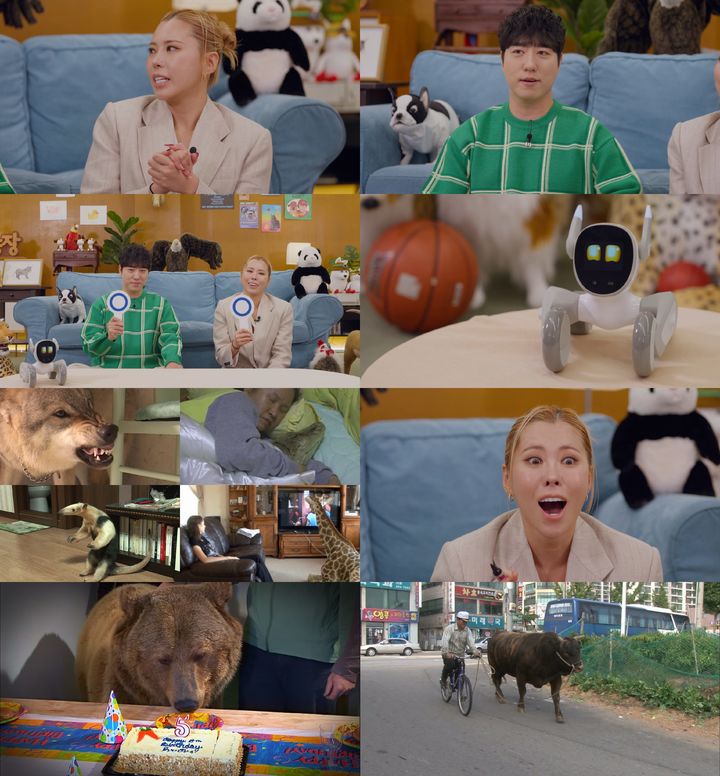 [서울=뉴시스]동물농장(사진=SBS 제공) 2026.03.20. photo@newsis.com *재판매 및 DB 금지