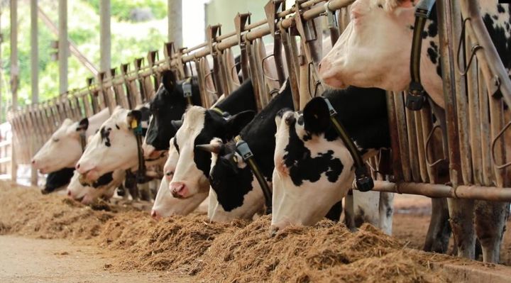 [부여=뉴시스] 부여군이 지정하는 깨끗한 축산농장 *재판매 및 DB 금지