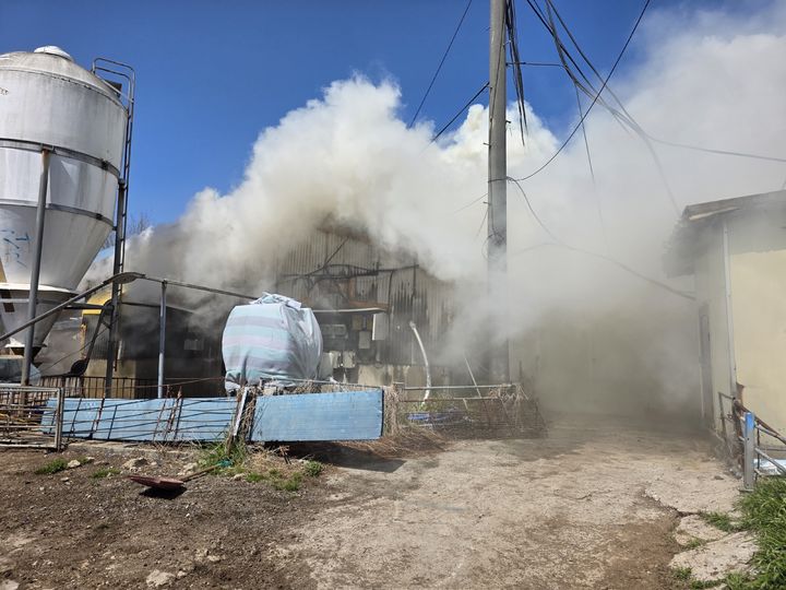 [고창=뉴시스] 20일 오후 1시4분께 전북 고창군 고창읍의 한 돈사에서 불이 나 연기가 치솟고 있다. (사진=전북도소방본부 제공) 2026.03.20. photo@newsis.com *재판매 및 DB 금지