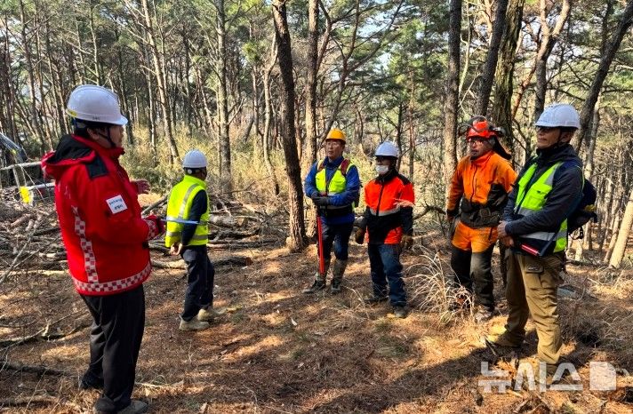 [포항=뉴시스] 경북 포항시는 지난 19일 소나무재선충병 방제 현장인 북구 장량 2-1 지구를 방문해 현장 점검 및 안전 지도를 하고 있다. (사진=포항시 제공) 2026.03.20. photo@newsis.com