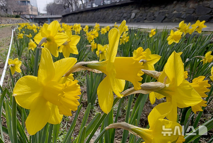 울산, 낮 17도까지 올라 '포근'…대기 건조 화재 주의