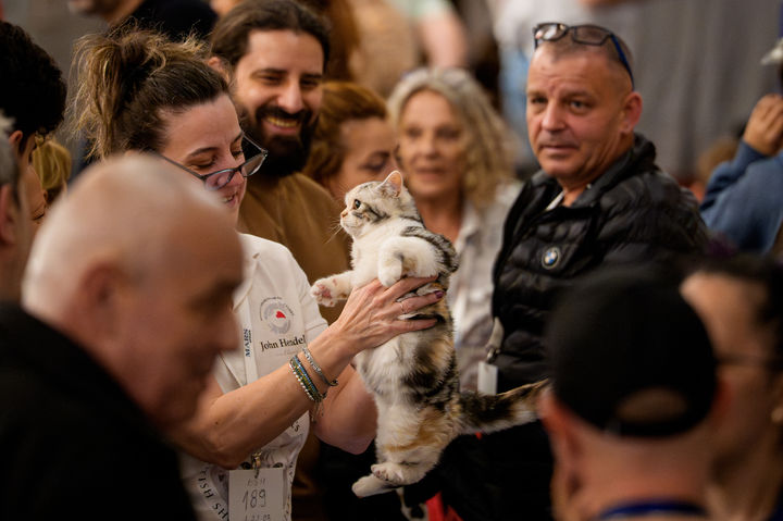 [부쿠레슈티=AP/뉴시스] 21일(현지 시간) 루마니아 부쿠레슈티에서 열린 국제 고양이 미인 대회에 참가한 고양이. 2026.03.23.