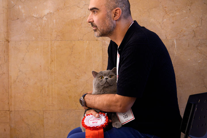 [부쿠레슈티=AP/뉴시스] 21일(현지 시간) 루마니아 부쿠레슈티에서 열린 국제 고양이 미인 대회에 참가한 고양이가 한 남성에 안겨 있다. 2026.03.23.