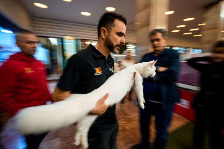 [부쿠레슈티=AP/뉴시스] 21일(현지 시간) 루마니아 부쿠레슈티에서 열린 국제 고양이 미인 대회에서 한 남성이 고양이를 안고 있다. 2026.03.23.