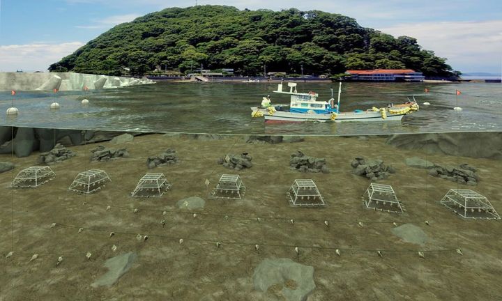 (사진=한국수산자원공단 제공) *재판매 및 DB 금지