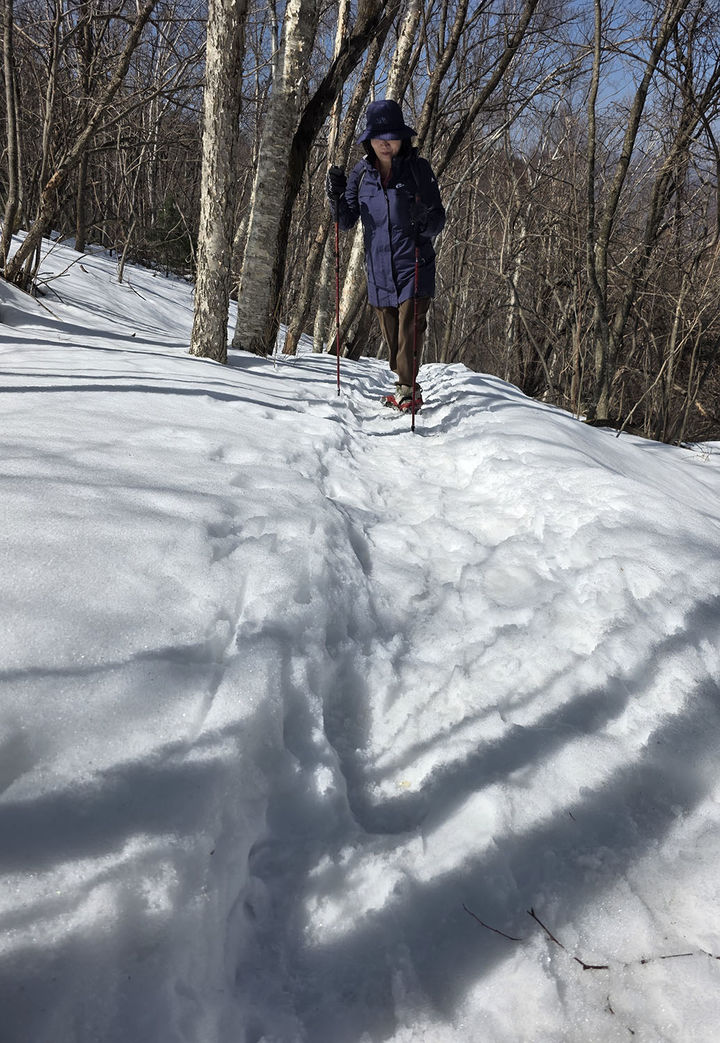 지난 21일 태백산국립공원 등반로 일대에는 20cm가 넘는 폭설이 남아 있다. (사진=뉴시스) *재판매 및 DB 금지