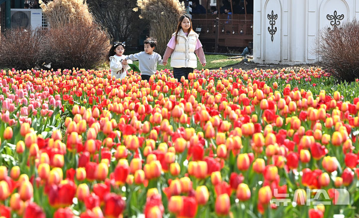 충북 대체로 맑음…낮 최고 16~20도
