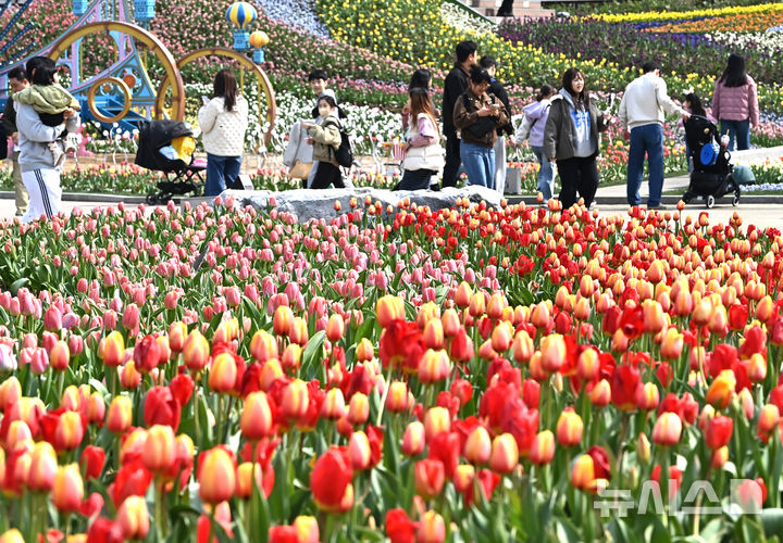 [용인=뉴시스] 김종택 기자 = 포근한 날씨를 보인 22일 튤립축제가 열리고 있는 경기 용인시 에버랜드를 찾은 시민들이 활짝 핀 튤립 꽃길을 거닐며 봄 기운을 만끽하고 있다. 2026.03.22. jtk@newsis.com