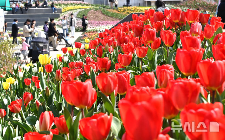 맑은 울산, 아침엔 6도·낮엔 16도…"큰 일교차 주의"