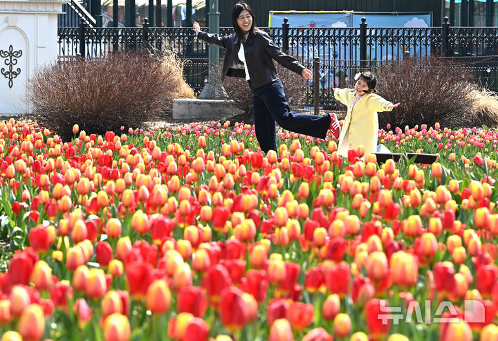 [용인=뉴시스] 김종택 기자 = 포근한 날씨를 보인 22일 튤립축제가 열리고 있는 경기 용인시 에버랜드를 찾은 시민들이 활짝 핀 튤립 꽃길을 거닐며 봄 기운을 만끽하고 있다. 2026.03.22. jtk@newsis.com