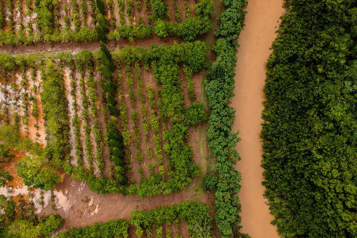 [하와이=AP/뉴시스] 22일(현지 시간) 하와이 할리와의 한 농장이 침수돼 있다. 2026.03.24.