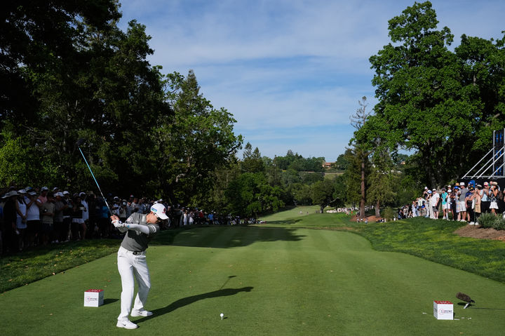 [멘로파크=AP/뉴시스] 김효주가 22일(현지 시간) 미 캘리포니아주 멘로파크 샤론 하이츠 골프&컨트리클럽에서 열린 미국여자프로골프(LPGA) 투어 포티넷 파운더스컵 최종 라운드 15번 홀에서 티샷하고 있다. 김효주는 최종 합계 16언더파 272타로 와이어투와이어 우승을 차지하며 투어 통산 8승을 달성했다. 2026.03.23.