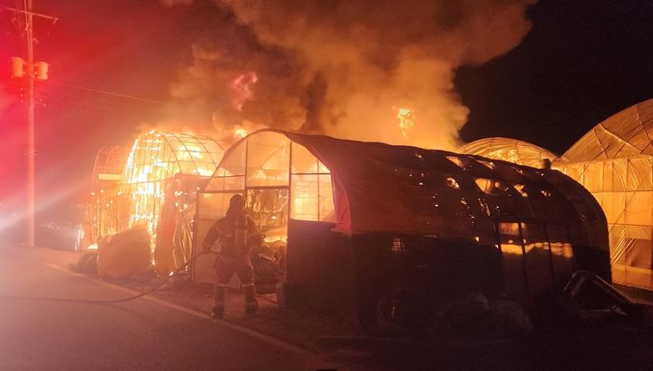[성주=뉴시스] 성주 비닐하우스 화재. (사진=경북소방본부 제공) 2026.03.23. photo@newsis.com *재판매 및 DB 금지