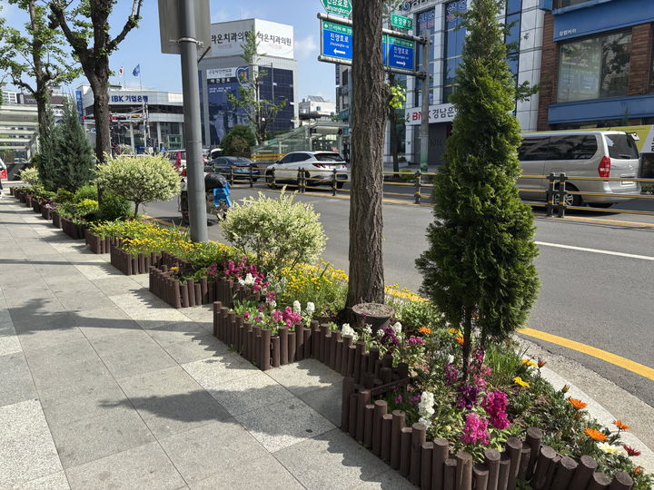 [진주=뉴시스]진주시, 봄꽃 향기 가득한 원도심 활력의 거리로 변모.(사진=진주시 제공).2026.03.23.photo@newsis.com *재판매 및 DB 금지