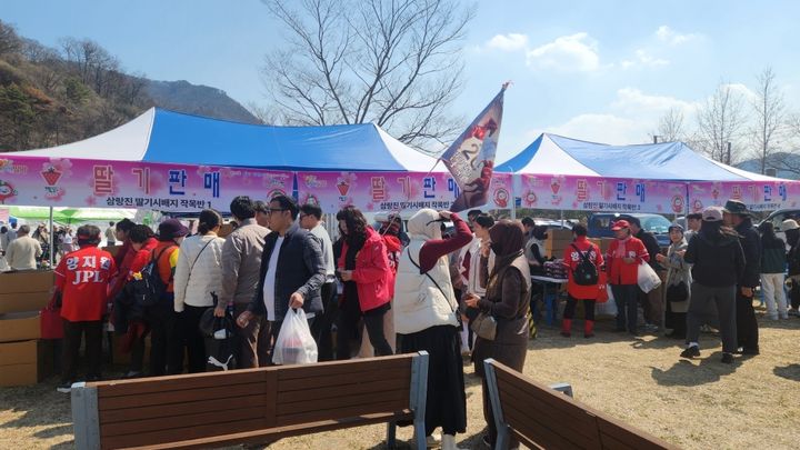 [밀양=뉴시스] 삼랑진 딸기시배지 축제 직거래 판매존에서 방문객들이 딸기를 구매하고 있다. (사진= 밀양시 제공) 2026.03.23. photo@newsis.com *재판매 및 DB 금지