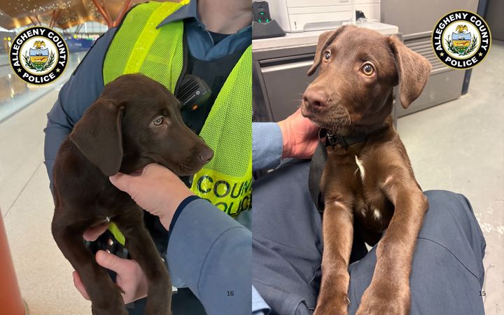 [서울=뉴시스] 지난 21일(현지시각) 미국 CBS에 따르면 텍사스 출신 오마르 페레즈(42·남)가 피츠버그 국제공항에서 반려견을 버린 혐의로 기소됐다. (사진=미국 앨러게니 카운티 경찰 페이스북 갈무리) *재판매 및 DB 금지