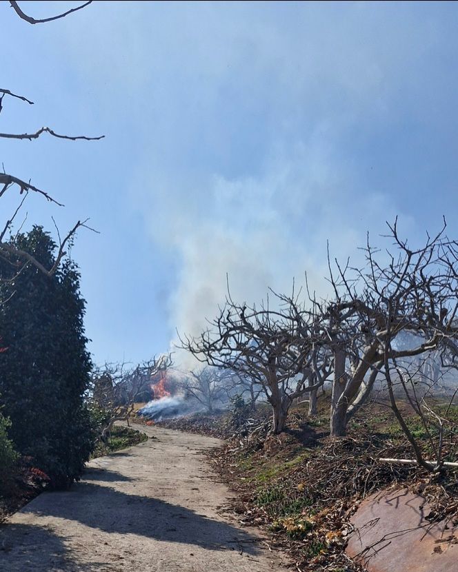 지난 21일 경남 사천시 사천읍 인근 소각 행위로 인한 화재 발생 현장.(사진=경남도 제공) 2026.03.23. *재판매 및 DB 금지