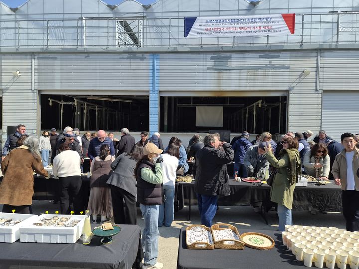 [거제=뉴시스] 신정철 기자= 세계 최고의 미식 권위를 자랑하는 프랑스명장요리사협회 소속 셰프 180여 명이 지난 21일 거제시의 개체굴 생산 현장인 ‘라온팜’(대표 엄성)을 방문했다.사진은 개체굴 시식회 모습.(사진=거제시 제공).2026.03.23. photo@newsis.com *재판매 및 DB 금지