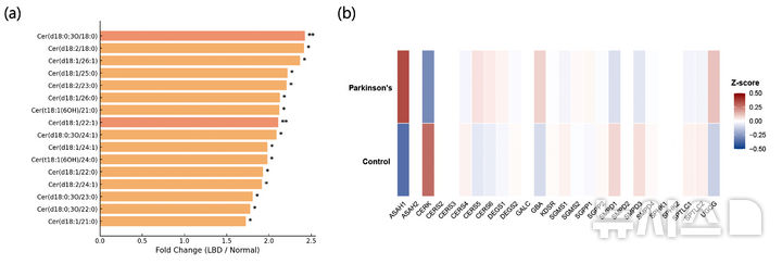 파킨슨병 환자 뇌에서 세라마이드 증가와 관련 유전자 변화. (그래픽=GIST 제공) photo@newsis.com