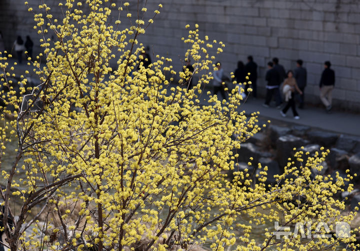 대구·경북 일부지역 빗방울, 낮 20도 '쑥'…미세먼지 나쁨