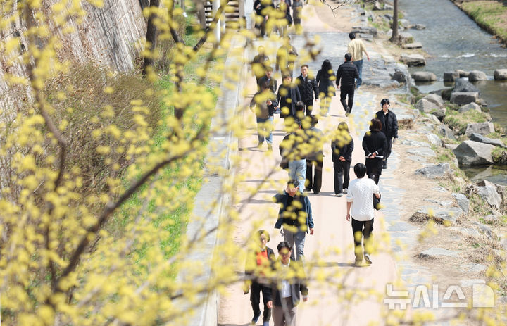 [서울=뉴시스] 김진아 기자 = 완연한 봄날씨를 보인 23일 서울 청계천을 찾은 시민들이 활짝 핀 산수유꽃 아래에서 산책을 하고 있다. 2026.03.23. bluesoda@newsis.com