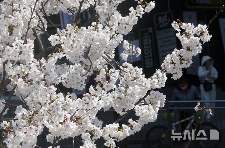 대구·경북, 맑다가 차차 흐려져…아침 -4도·한낮 19도