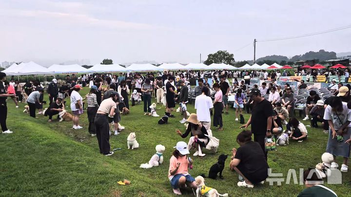 [시흥=뉴시스] 지난해 열린 반려동물 운동회 '우리 동네 개체능' 현장. (사진=시흥시 제공). 2026.03.24. photo@newsis.com