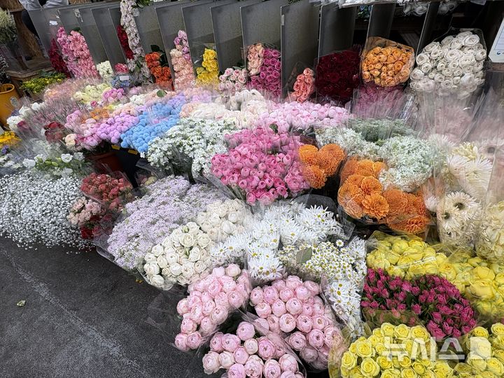 [서울=뉴시스]신유림 기자=24일 서울 서초구 양재동 화훼공판장에 꽃이 진열돼 있다. 2026.03.24. spicy@newsis.com