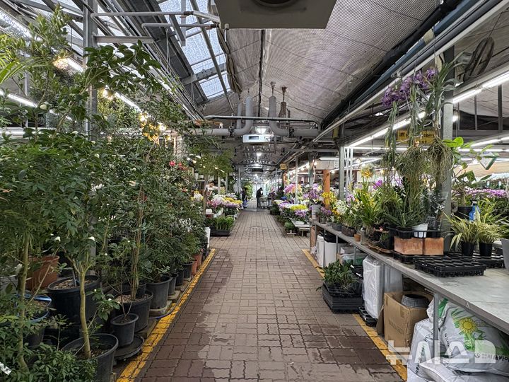 [서울=뉴시스]신유림 기자=24일 서울 서초구 양재동 화훼공판장의 모습. 2026.03.24. spicy@newsis.com