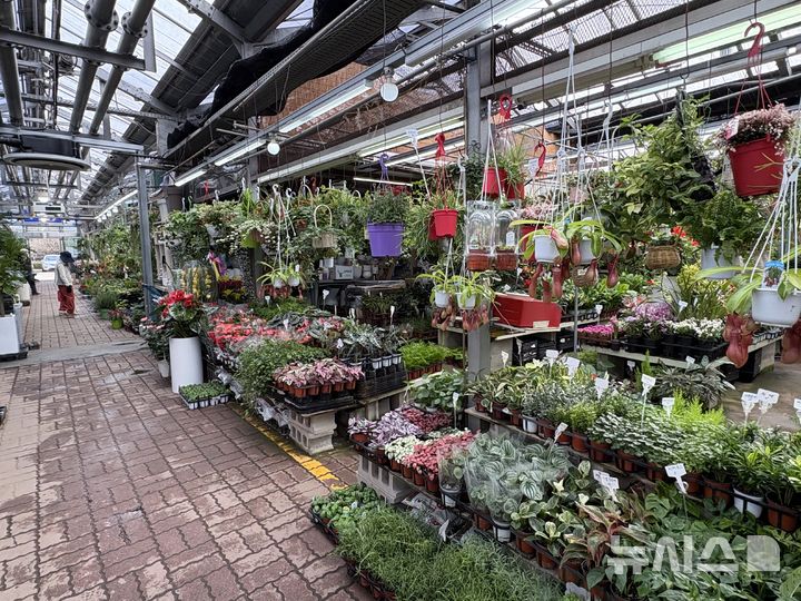 [서울=뉴시스]신유림 기자=24일 서울 서초구 양재동 화훼공판장의 모습. 2026.03.24. spicy@newsis.com