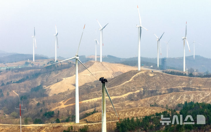 [영덕=뉴시스] 이무열 기자 = 24일 경북 영덕군 영덕읍 창포리 풍력발전단지 내 한 풍력발전기가 전날 화재로 까맣게 탄 채 서 있다. 2026.03.24. lmy@newsis.com