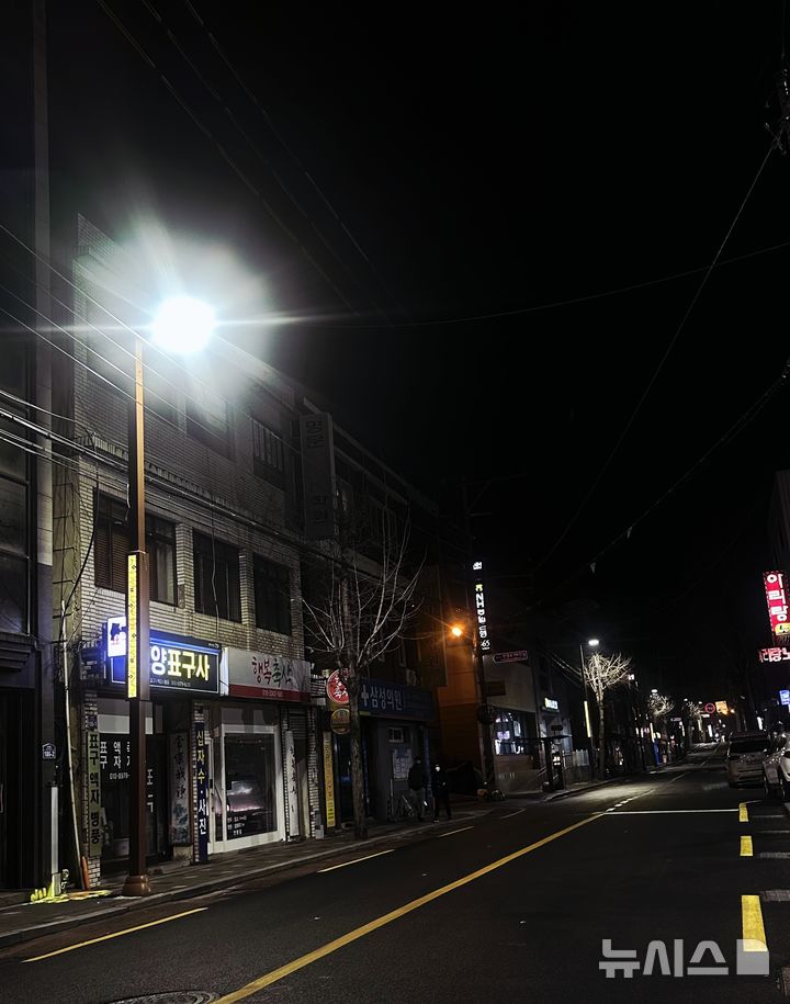 [김해=뉴시스]김해 진영 빛의 거리. (사진=김해시 제공). 2026.03.25. photo@newsis.com