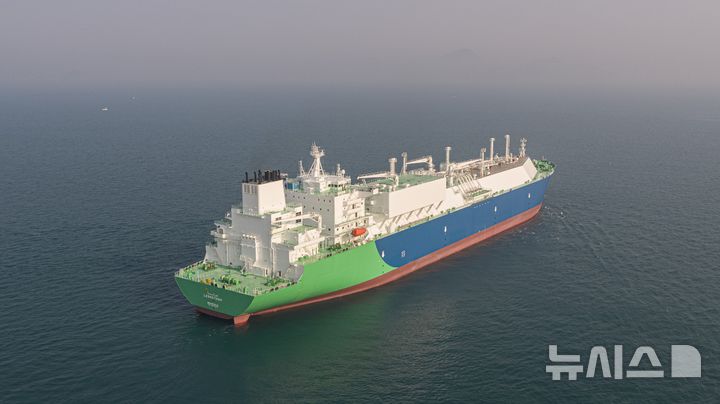 [서울=뉴시스] 정부 지원으로 건조한 LNG운반선.