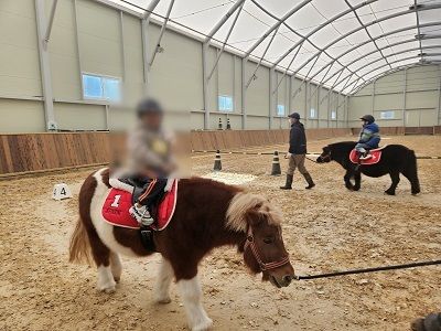 어린이 말 체험(사진=경기도 제공) *재판매 및 DB 금지