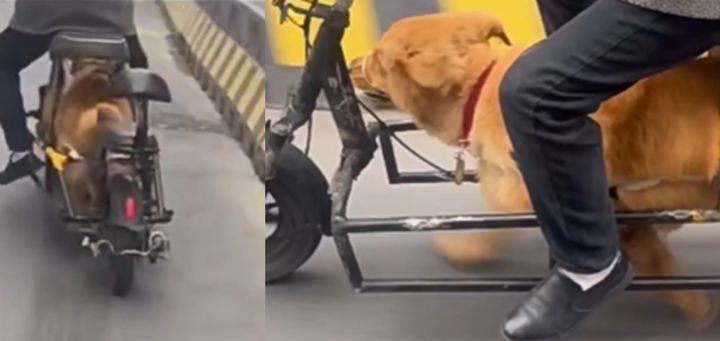 [서울=뉴시스] 지난 24일 사우스차이나모닝포스트(SCMP)에 따르면, 지난 16일 중국 장쑤성에서 한 남성이 개조 자전거를 타고 도로를 달리는 모습이 포착됐다. (사진=X 갈무리) *재판매 및 DB 금지